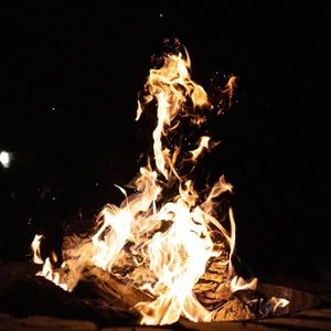 Meet your Posher, Katelyn